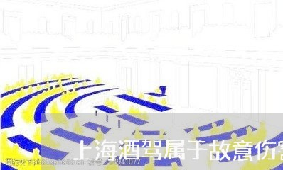 上海酒驾属于故意伤害罪/2023041076959