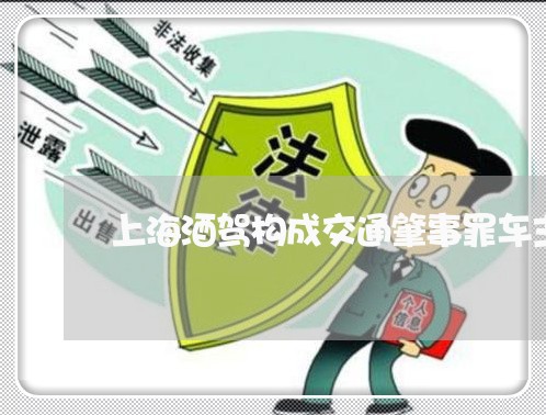 上海酒驾构成交通肇事罪车主/2023032217158 上海酒驾构成交通肇事罪车主/2023032217158