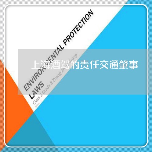 上海酒驾的责任交通肇事/2023021528069 上海酒驾的责任交通肇事/2023021528069
