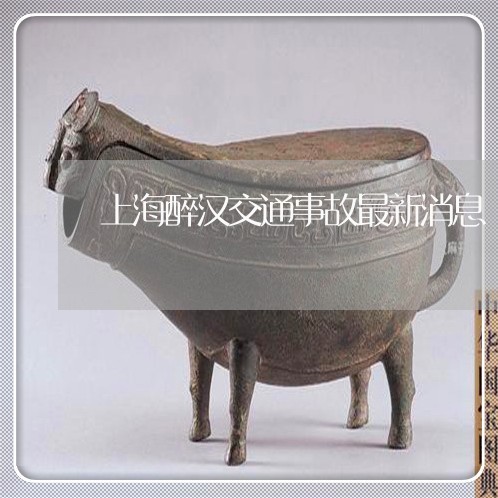 上海醉汉交通事故最新消息/2023031839604 上海醉汉交通事故最新消息/2023031839604