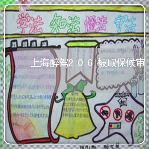 上海醉驾206被取保候审/2023030259472 上海醉驾206被取保候审/2023030259472