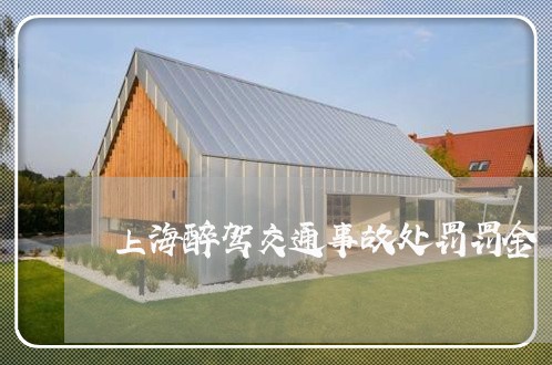 上海醉驾交通事故处罚罚金/2023030273905 上海醉驾交通事故处罚罚金/2023030273905