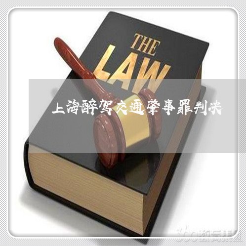 上海醉驾交通肇事罪判决/2023041072503