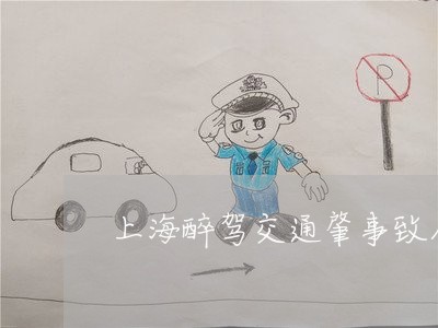 上海醉驾交通肇事致人重伤/2023030293937