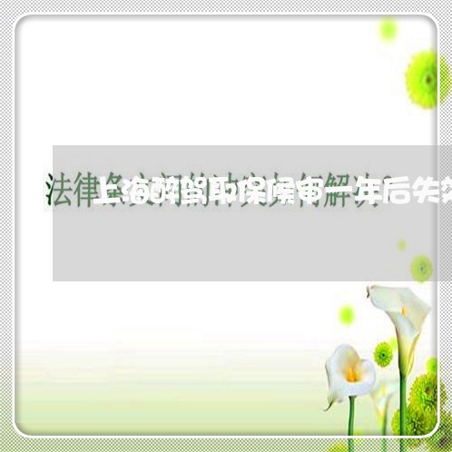 上海醉驾取保候审一年后失效/2023032137030 上海醉驾取保候审一年后失效/2023032137030
