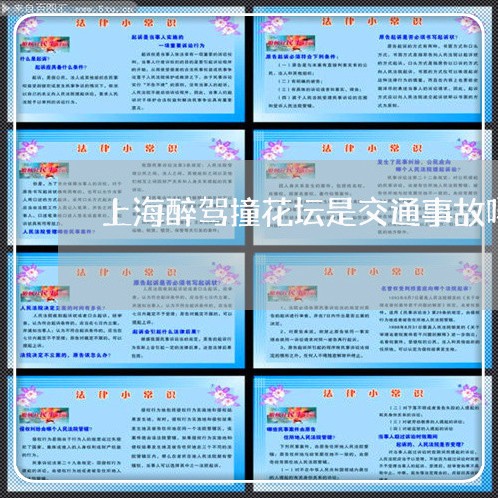 上海醉驾撞花坛是交通事故吗/2023032172815