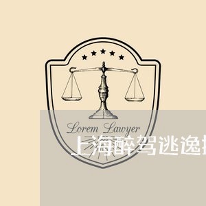 上海醉驾逃逸换人处理交通事故/2023041537472