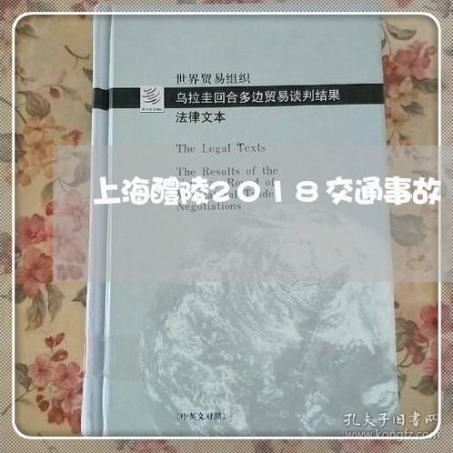 上海醴陵2018交通事故/2023030262625 上海醴陵2018交通事故/2023030262625