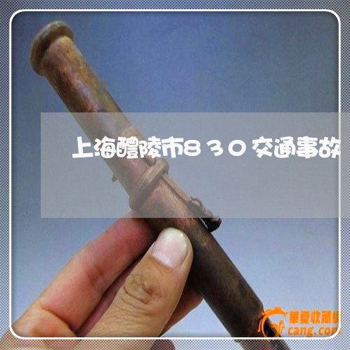 上海醴陵市830交通事故/2023031701703