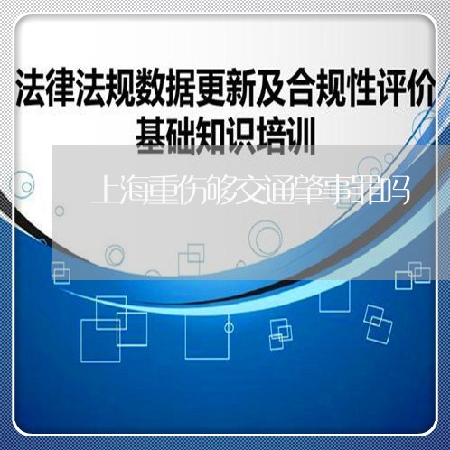 上海重伤够交通肇事罪吗/2023041004049