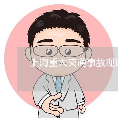 上海重大交通事故现场丰城/2023030255157