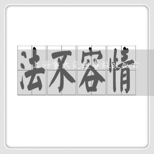 上海重大交通事故致死亡/2023041041602