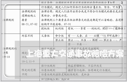 上海重大交通事故赔偿方案/2023030215927