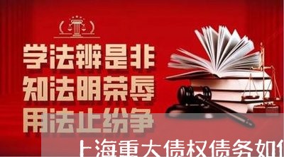 上海重大债权债务如何认定/2023030283504
