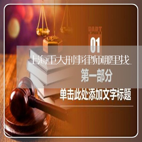 上海重大刑事律师哪里找/2023041004838