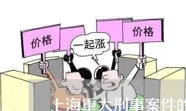 上海重大刑事案件的辩护人/2023030294615 上海重大刑事案件的辩护人/2023030294615
