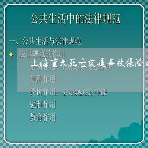 上海重大死亡交通事故保险理赔/2023041518271