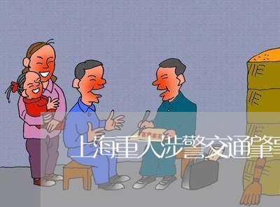 上海重大涉警交通肇事案/2023021459361 上海重大涉警交通肇事案/2023021459361