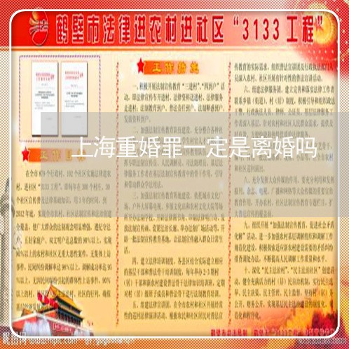 上海重婚罪一定是离婚吗/2023041018590