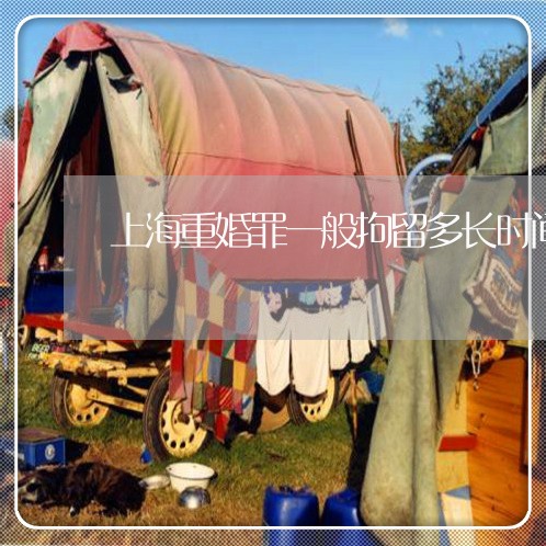 上海重婚罪一般拘留多长时间/2023032130279