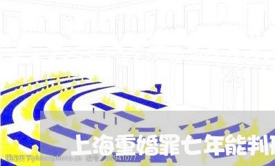 上海重婚罪七年能判刑多少年/2023032197036