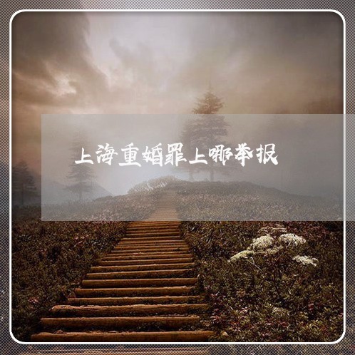 上海重婚罪上哪举报/2023032471837