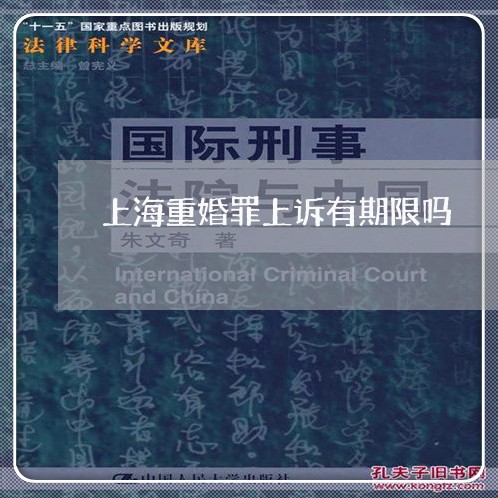 上海重婚罪上诉有期限吗/2023041025060