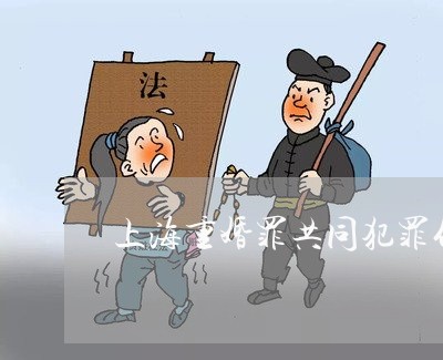 上海重婚罪共同犯罪什么意思/2023032183705 上海重婚罪共同犯罪什么意思/2023032183705