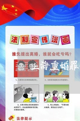 上海重婚罪共同犯罪是什么意思/2023041559361