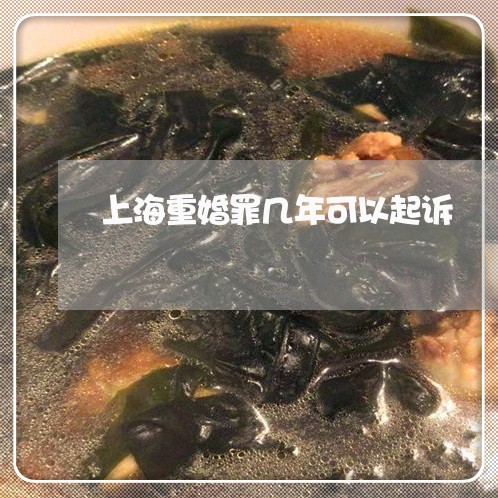 上海重婚罪几年可以起诉/2023041007138