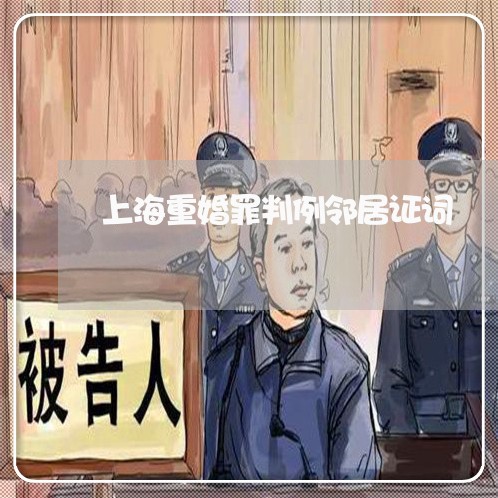 上海重婚罪判例邻居证词/2023041066950