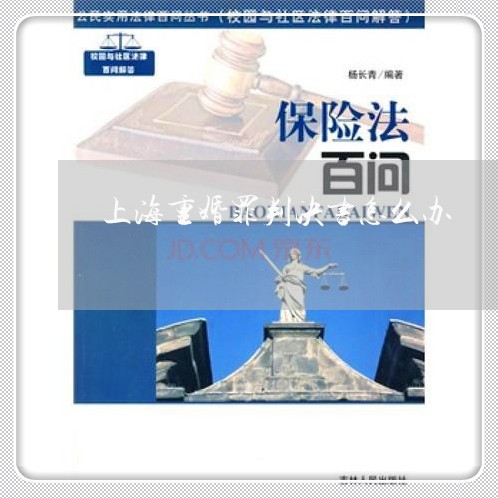 上海重婚罪判决书怎么办/2023041041594