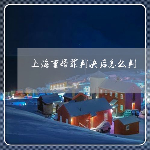 上海重婚罪判决后怎么判/2023041007048