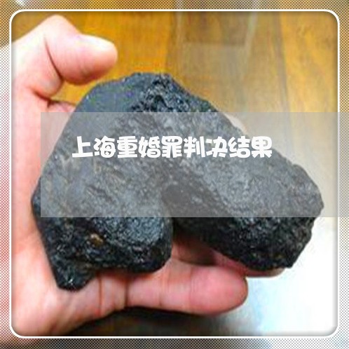 上海重婚罪判决结果/2023032405915 上海重婚罪判决结果/2023032405915