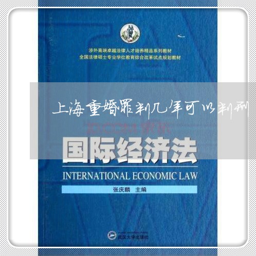 上海重婚罪判几年可以判刑/2023031726491