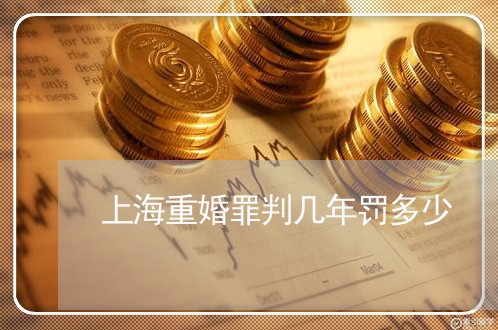 上海重婚罪判几年罚多少/2023021468469
