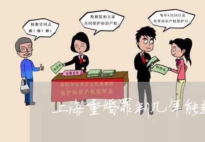 上海重婚罪判几年能起诉/2023021461504