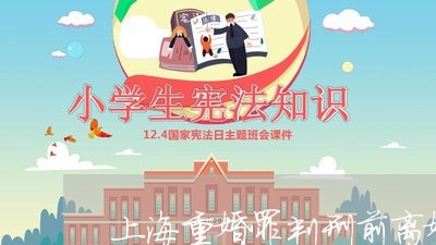 上海重婚罪判刑前离婚了/2023041036241