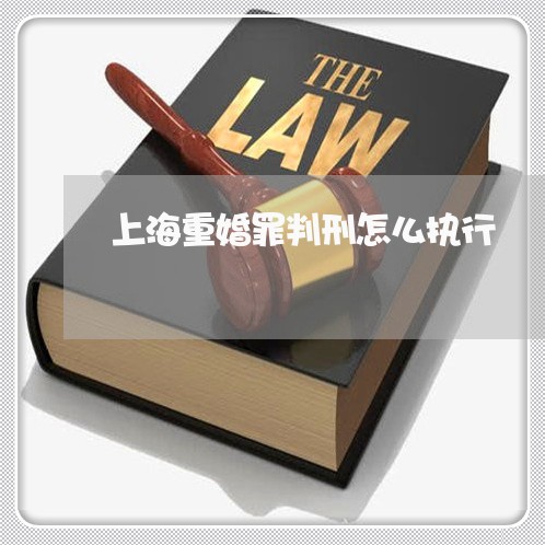 上海重婚罪判刑怎么执行/2023041064737