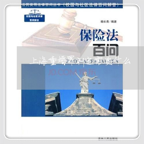 上海重婚罪判定需要什么/2023041041594