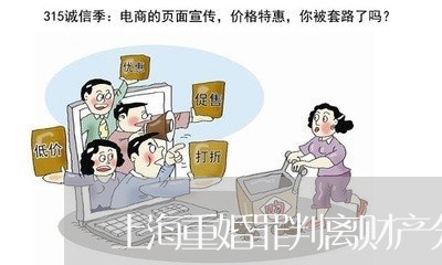 上海重婚罪判离财产分割/2023041073703