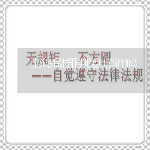 上海重婚罪判缓刑有用吗/2023041067359