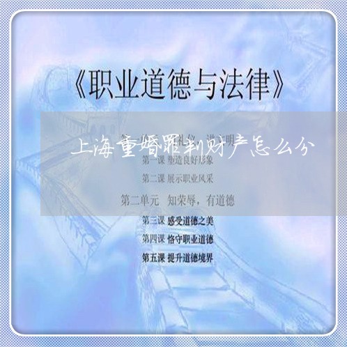 上海重婚罪判财产怎么分/2023021504737 上海重婚罪判财产怎么分/2023021504737