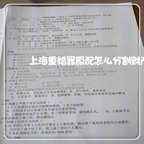 上海重婚罪原配怎么分割财产/2023032158169 上海重婚罪原配怎么分割财产/2023032158169