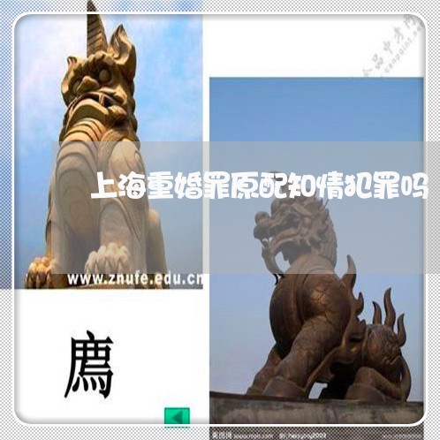 上海重婚罪原配知情犯罪吗/2023031713816