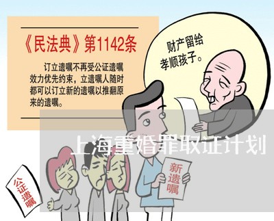 上海重婚罪取证计划/2023032406147