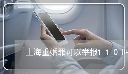 上海重婚罪可以举报110吗/2023032125959 上海重婚罪可以举报110吗/2023032125959
