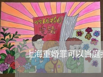 上海重婚罪可以当庭抓人吗/2023031849391