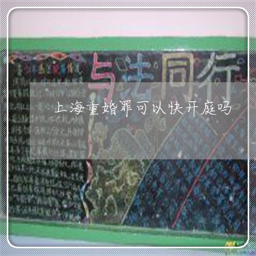 上海重婚罪可以快开庭吗/2023041051615