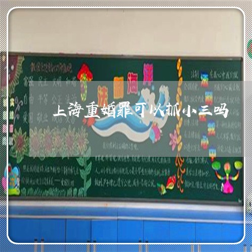 上海重婚罪可以抓小三吗/2023021530381